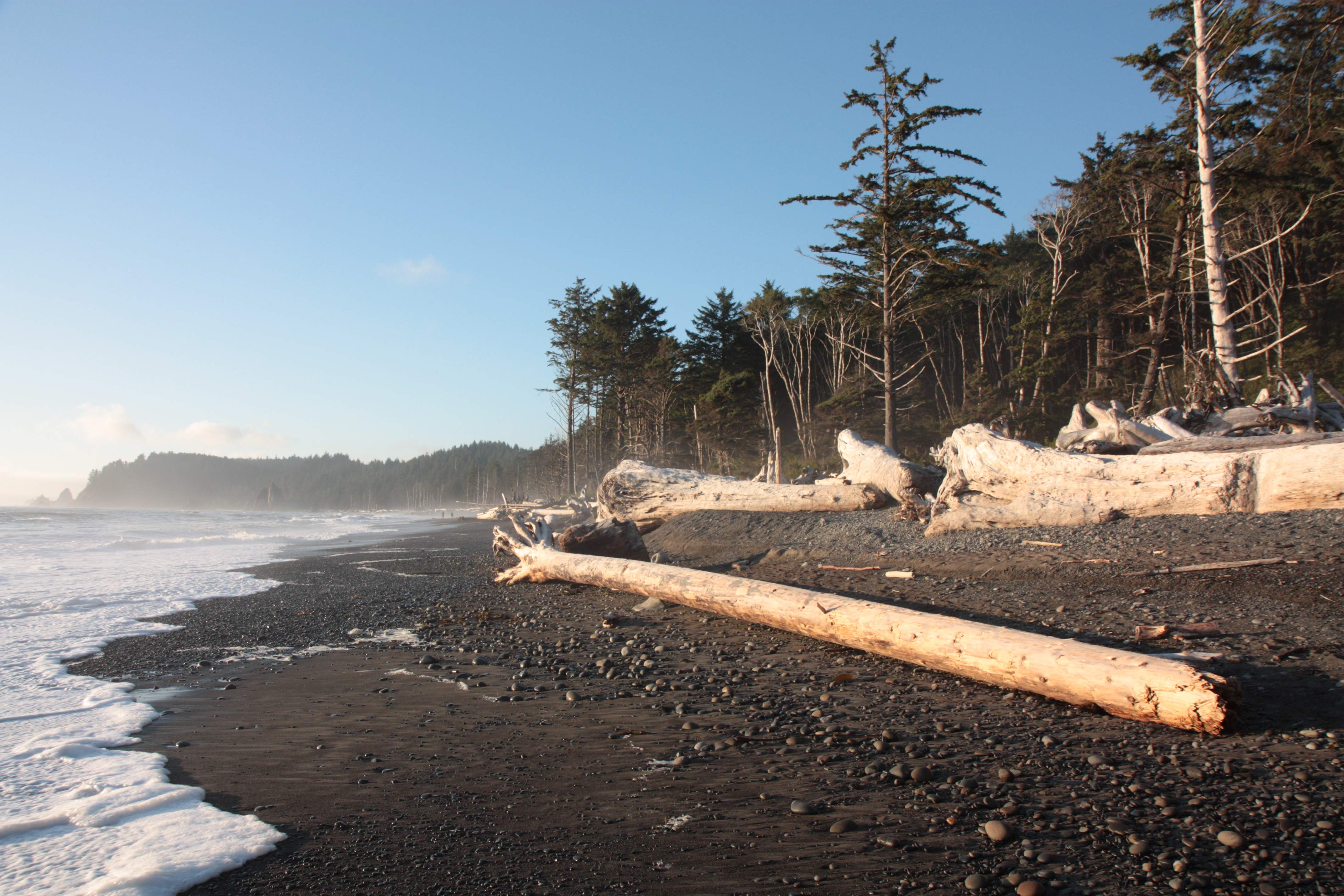 Olympic NP
